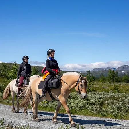 Cozy Top-floor With Fireplace And Sauna アパート *
