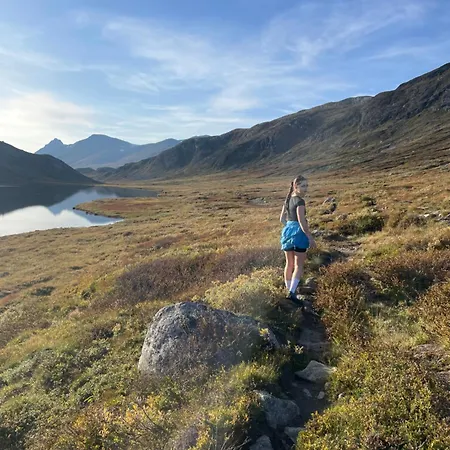 Cozy Top-floor With Fireplace And Sauna Beitostolen