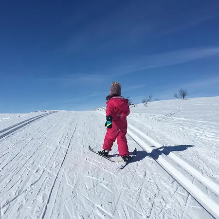 Cozy Top-floor With Fireplace And Sauna アパート Beitostolen