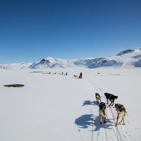 Cozy Top-floor With Fireplace And Sauna Beitostolen